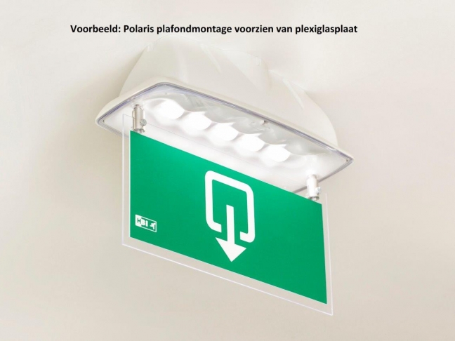 204PQQ